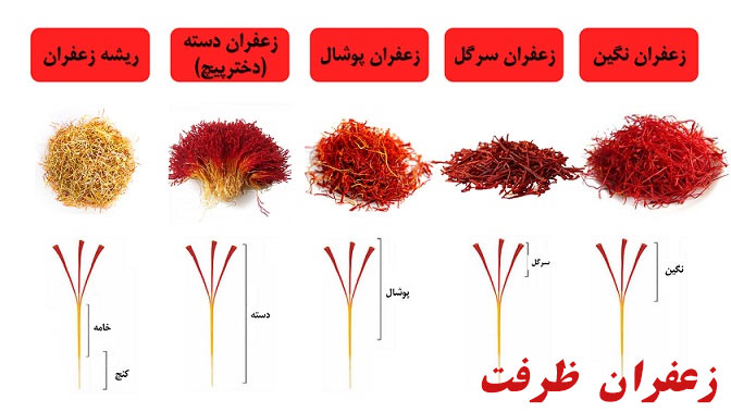 معرفی انواع زعفران در ایران-بهترین نوع زعفران